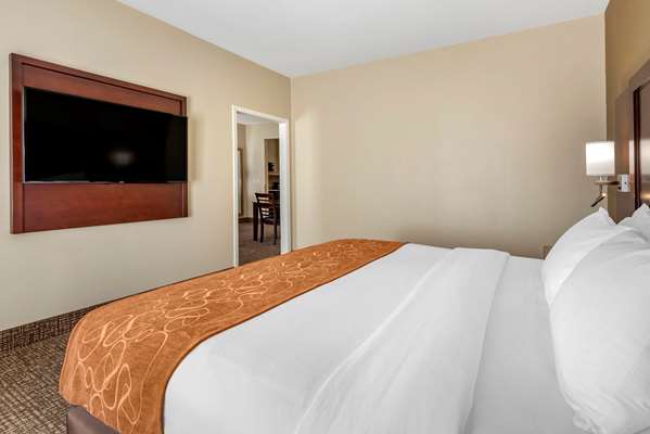 Suite - Comfort Suites Auburn - I-69, Exit 329