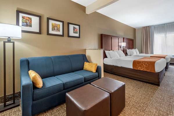 Suite - Comfort Suites Auburn - I-69, Exit 329