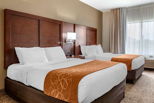 Suite - Comfort Suites Auburn - I-69, Exit 329