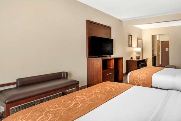 Suite - Comfort Suites Auburn - I-69, Exit 329