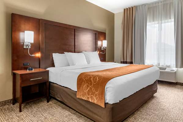 Suite - Comfort Suites Auburn - I-69, Exit 329
