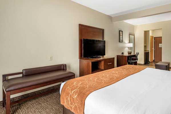 Suite - Comfort Suites Auburn - I-69, Exit 329
