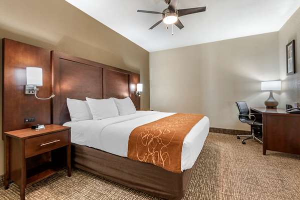 Suite - Comfort Suites Auburn - I-69, Exit 329