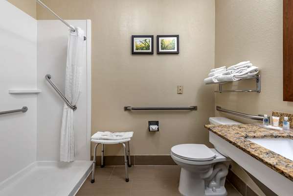 Suite - Comfort Suites Auburn - I-69, Exit 329