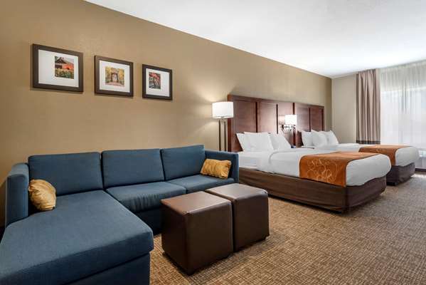 Suite - Comfort Suites Auburn - I-69, Exit 329