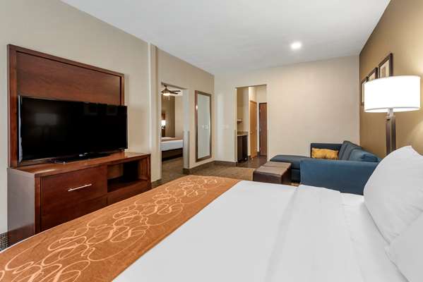 Suite - Comfort Suites Auburn - I-69, Exit 329