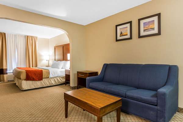 Suite - Comfort Inn & Suites Mishawaka