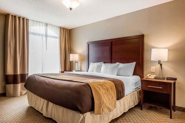 Suite - Comfort Inn & Suites Mishawaka