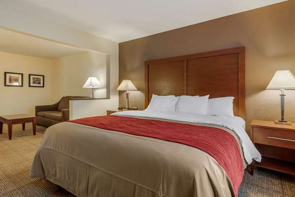 Suite - Comfort Inn Warren - I-69, Exit 278