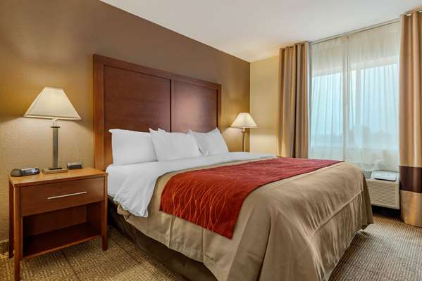 Suite - Comfort Inn Warren - I-69, Exit 278