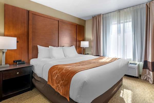 Suite - Comfort Suites Merrillville - I-65, Exit 253