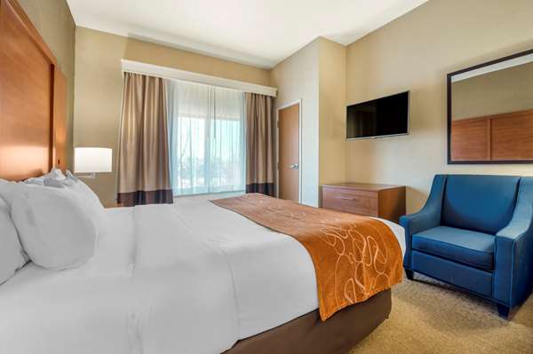 Suite - Comfort Suites Merrillville - I-65, Exit 253