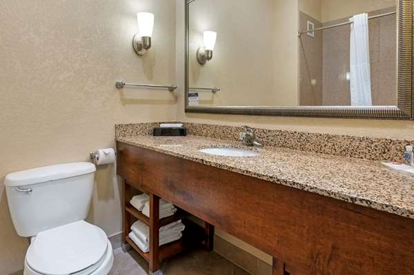 Suite - Comfort Suites Merrillville - I-65, Exit 253