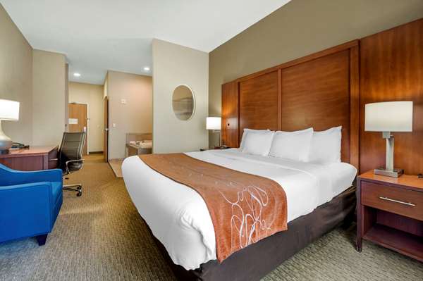 Suite - Comfort Suites Merrillville - I-65, Exit 253