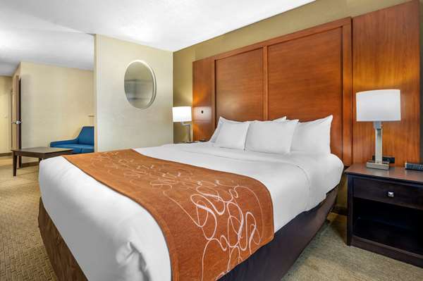 Suite - Comfort Suites Merrillville - I-65, Exit 253