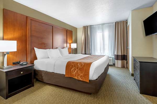 Suite - Comfort Suites Merrillville - I-65, Exit 253
