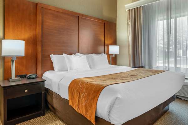 Suite - Comfort Suites Merrillville - I-65, Exit 253