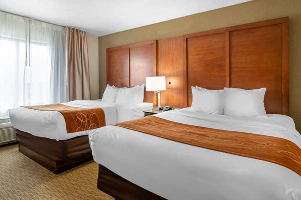 Suite - Comfort Suites Merrillville - I-65, Exit 253