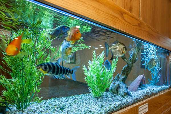  - Quality Inn & Conference Center Logansport