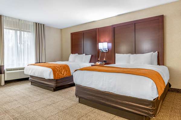 Suite - Comfort Suites Elkhart