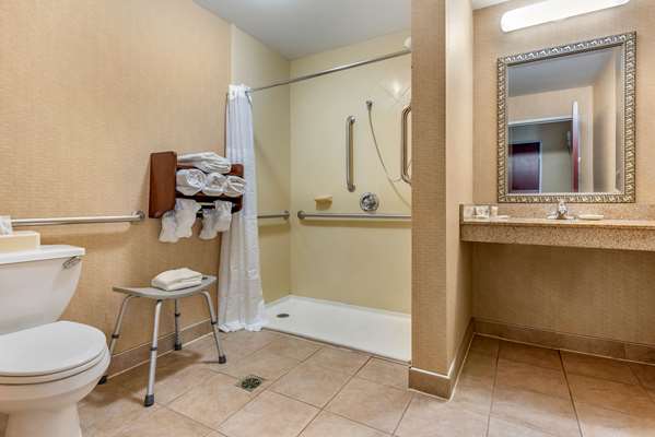 Suite - Comfort Suites Elkhart