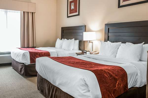 Suite - Comfort Suites South Bend