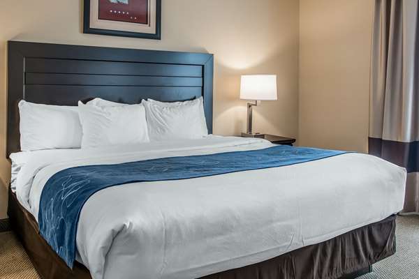 Suite - Comfort Suites South Bend