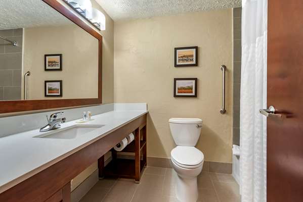 Suite - Comfort Inn Madison