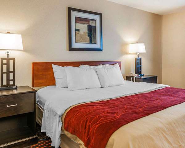 Suite - Comfort Inn Avon