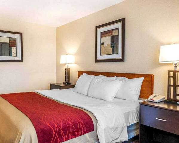 Suite - Comfort Inn Avon