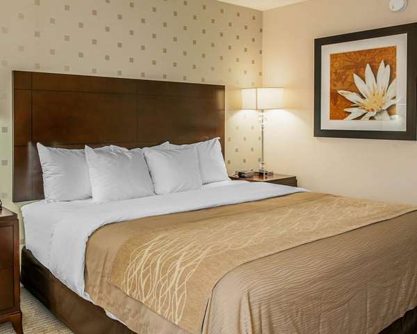  - Comfort Inn Bloomington