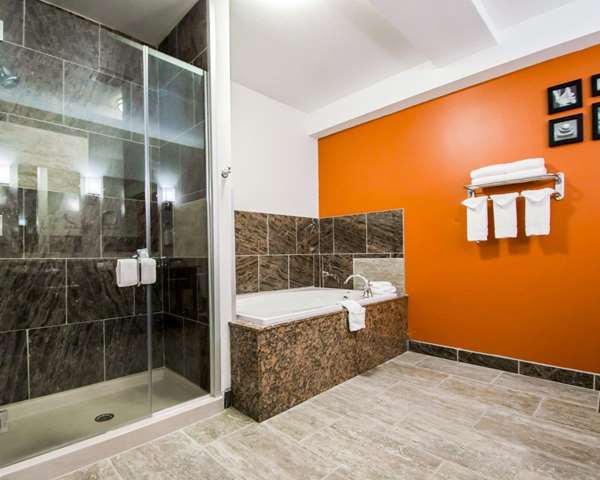 Suite - Sleep Inn & Suites & Conference Center Indianapolis