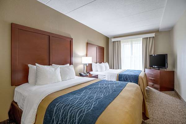 Suite - Comfort Inn North Indianapolis