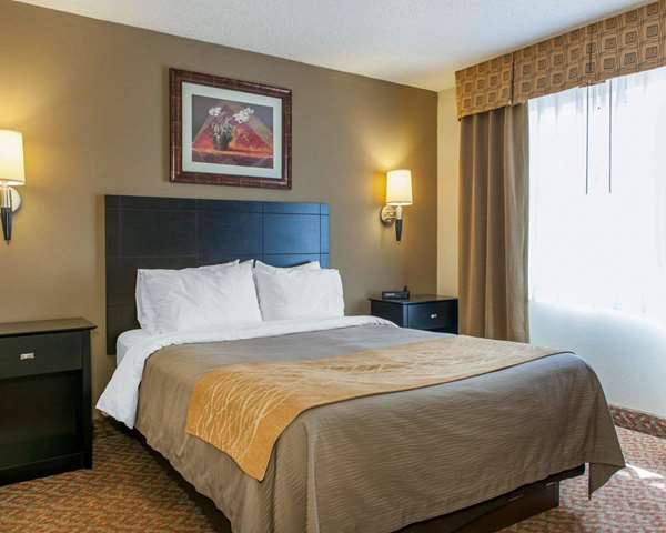 Suite - Comfort Inn Bluffton