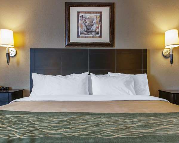 Suite - Comfort Inn Bluffton