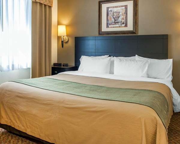 Suite - Comfort Inn Bluffton