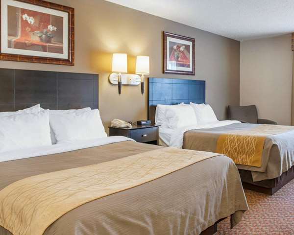 Suite - Comfort Inn Bluffton