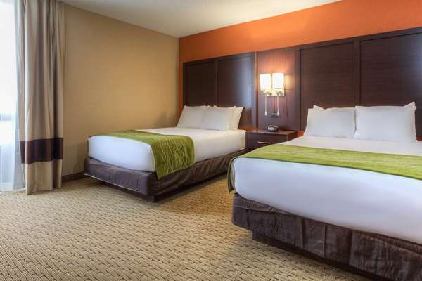Suite - Comfort Inn & Suites Evansville