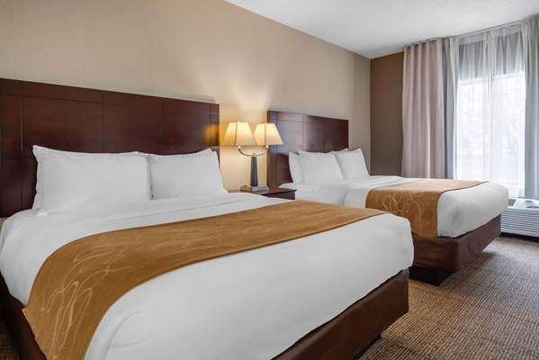 Suite - Comfort Suites Lafayette - I-65, Exit 172