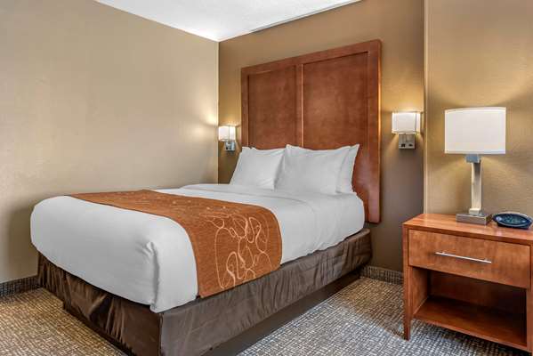 Suite - Comfort Suites Terre Haute - I-70, Exit 7