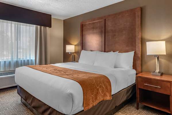 Suite - Comfort Suites Terre Haute - I-70, Exit 7