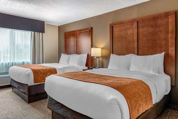 Suite - Comfort Suites Terre Haute - I-70, Exit 7