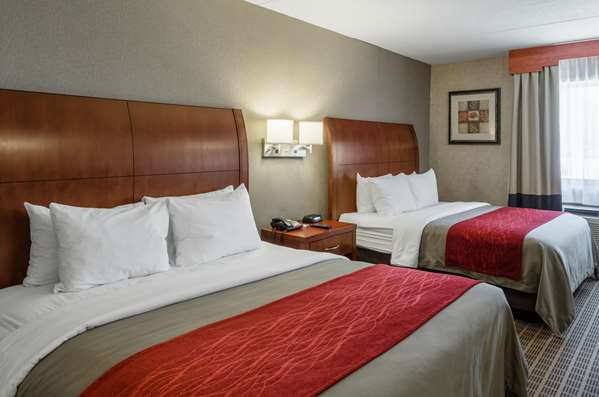 Suite - Comfort Inn & Suites West Springfield