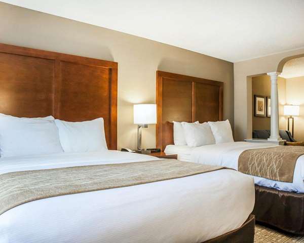 Suite - Comfort Inn & Suites Colonial Sturbridge - I-84, Exit 6