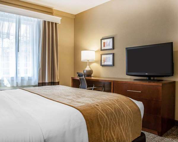 Suite - Comfort Inn & Suites Colonial Sturbridge - I-84, Exit 6