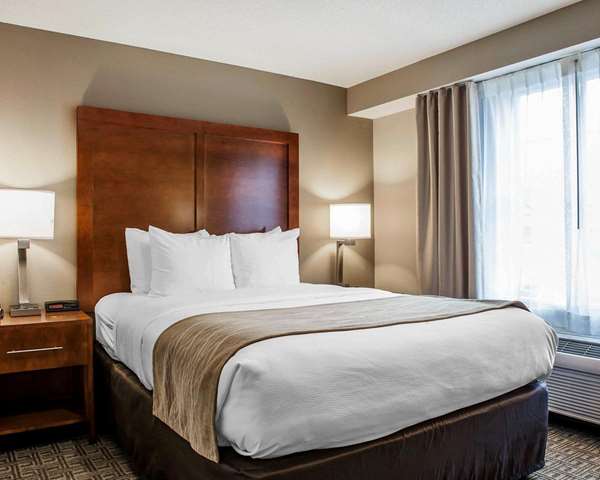 Suite - Comfort Inn & Suites Colonial Sturbridge - I-84, Exit 6