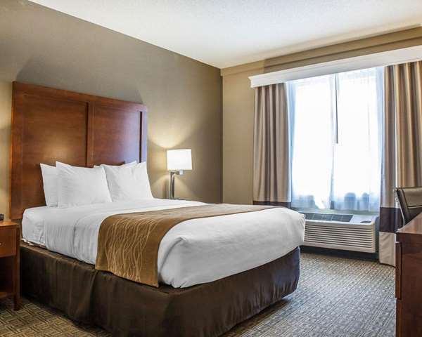 Suite - Comfort Inn & Suites Colonial Sturbridge - I-84, Exit 6