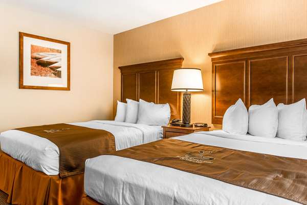  - Black Swan Inn Lee