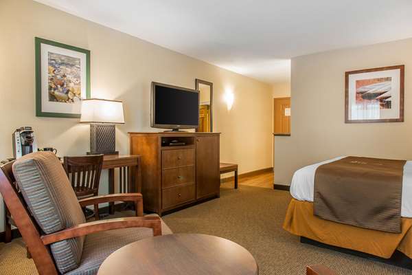 Suite - Black Swan Inn Lee