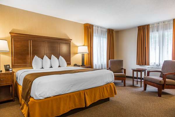 Suite - Black Swan Inn Lee